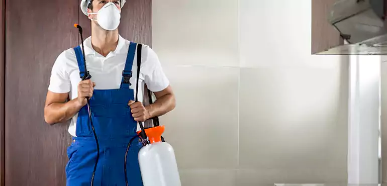 Why Hollywood Homeowners Choose Us When Pests Make Selling Difficult